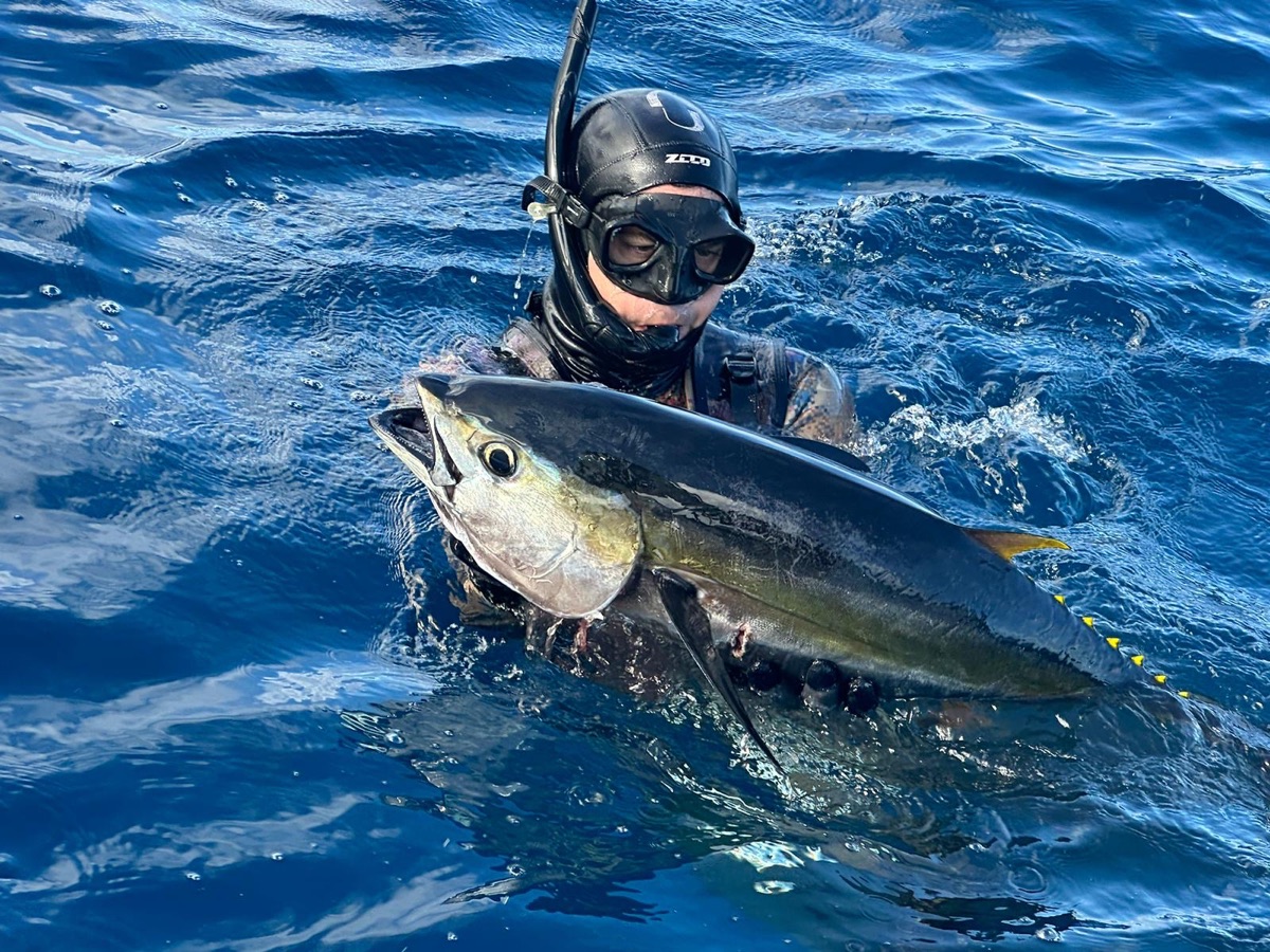 Yellowfin tuna (Channel Islands, CA)